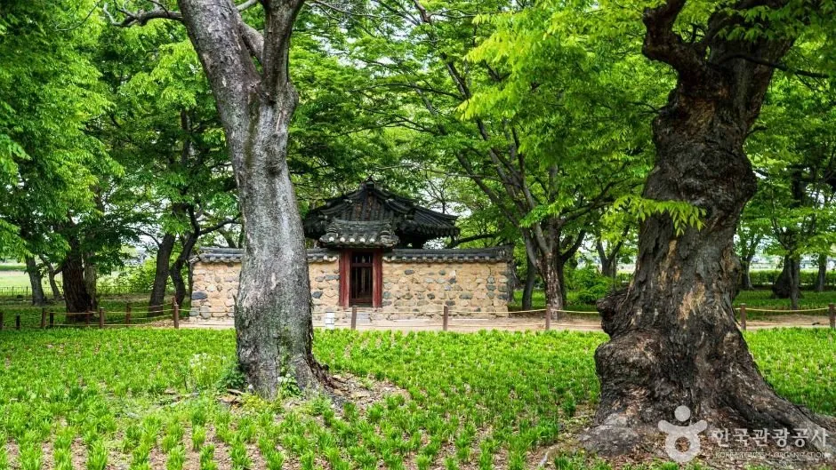 경주 계림 숲과 비각
